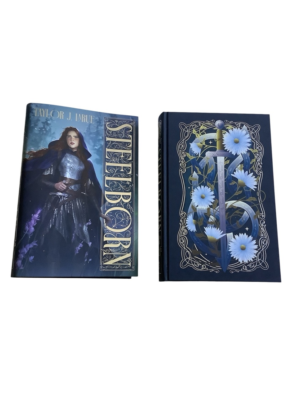 Steelborn by Taylor J. LaRue FairyLoot Exclusive Special Edition Hardcover